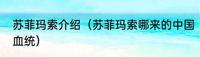 苏菲玛索介绍（苏菲玛索哪来的中国血统）