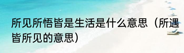 所见所悟皆是生活是什么意思（所遇皆所见的意思）