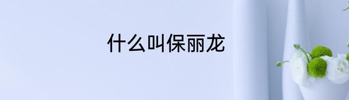 什么叫保丽龙