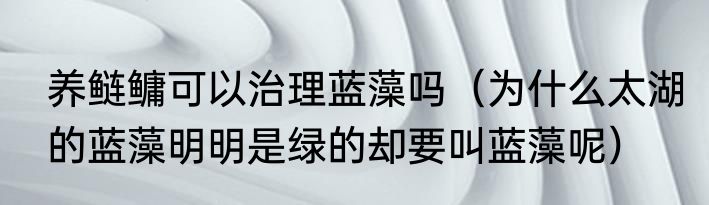养鲢鳙可以治理蓝藻吗（为什么太湖的蓝藻明明是绿的却要叫蓝藻呢）