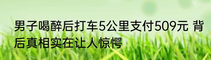 男子喝醉后打车5公里支付509元 背后真相实在让人惊愕