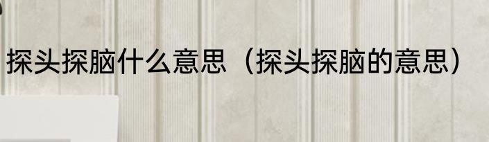 探头探脑什么意思（探头探脑的意思）