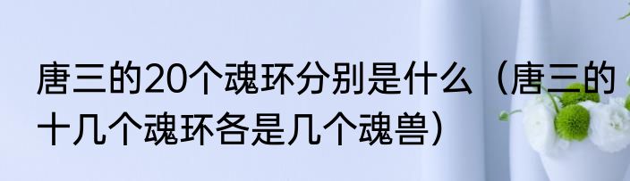 唐三的20个魂环分别是什么（唐三的十几个魂环各是几个魂兽）
