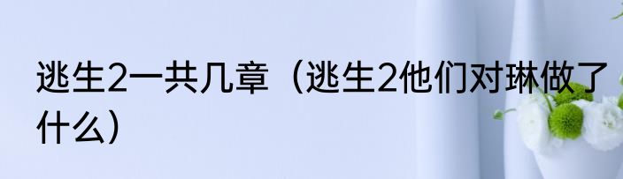 逃生2一共几章（逃生2他们对琳做了什么）
