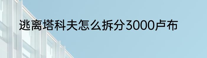 逃离塔科夫怎么拆分3000卢布