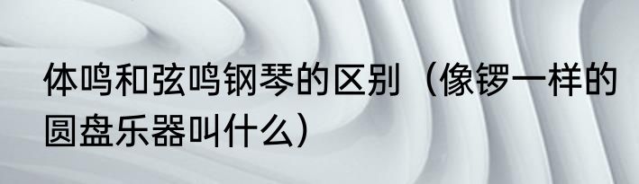 体鸣和弦鸣钢琴的区别（像锣一样的圆盘乐器叫什么）