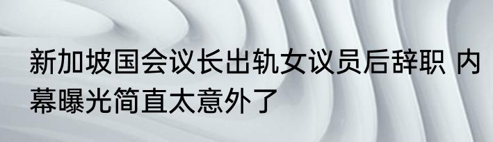 新加坡国会议长出轨女议员后辞职 内幕曝光简直太意外了