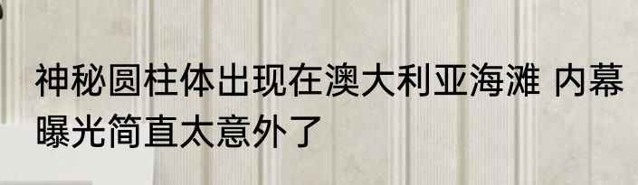 神秘圆柱体出现在澳大利亚海滩 内幕曝光简直太意外了