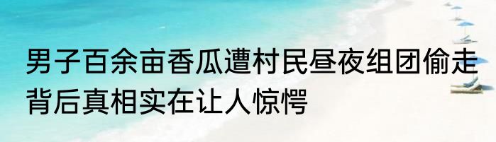 男子百余亩香瓜遭村民昼夜组团偷走 背后真相实在让人惊愕