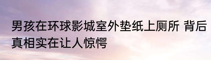 男孩在环球影城室外垫纸上厕所 背后真相实在让人惊愕