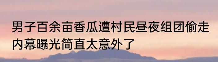 男子百余亩香瓜遭村民昼夜组团偷走 内幕曝光简直太意外了