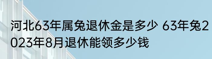 河北63年属兔退休金是多少 63年兔2023年8月退休能领多少钱
