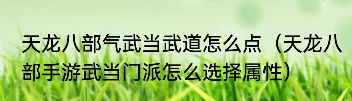 天龙八部气武当武道怎么点（天龙八部手游武当门派怎么选择属性）