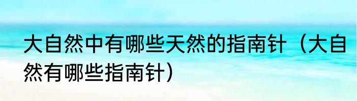 大自然中有哪些天然的指南针（大自然有哪些指南针）