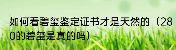 如何看碧玺鉴定证书才是天然的（280的碧玺是真的吗）