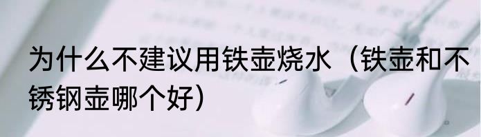 为什么不建议用铁壶烧水（铁壶和不锈钢壶哪个好）
