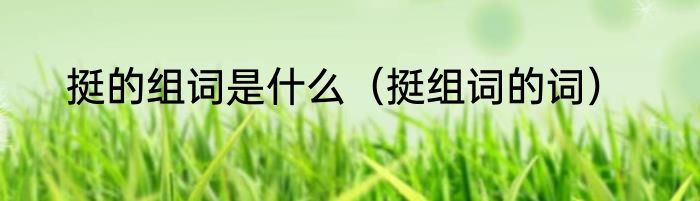 挺的组词是什么（挺组词的词）