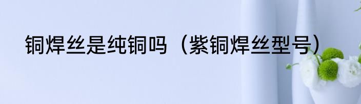 铜焊丝是纯铜吗（紫铜焊丝型号）