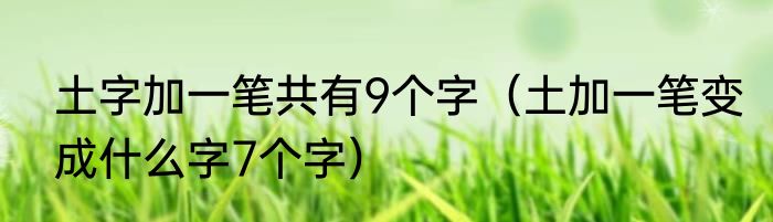 土字加一笔共有9个字（土加一笔变成什么字7个字）