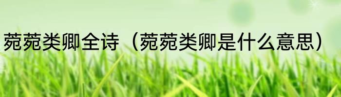 菀菀类卿全诗（菀菀类卿是什么意思）