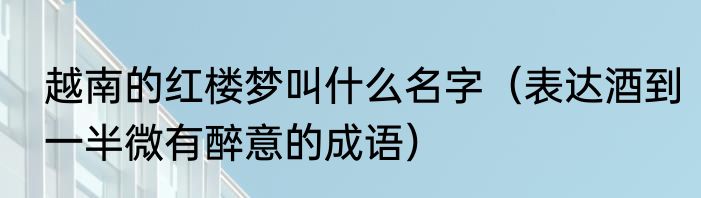 越南的红楼梦叫什么名字（表达酒到一半微有醉意的成语）