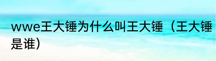 wwe王大锤为什么叫王大锤（王大锤是谁）