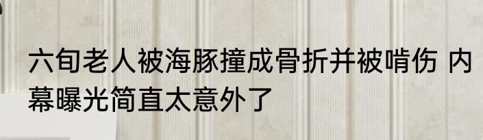 六旬老人被海豚撞成骨折并被啃伤 内幕曝光简直太意外了