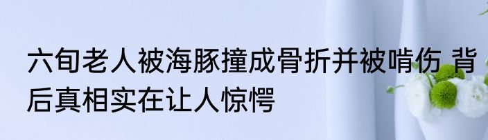 六旬老人被海豚撞成骨折并被啃伤 背后真相实在让人惊愕