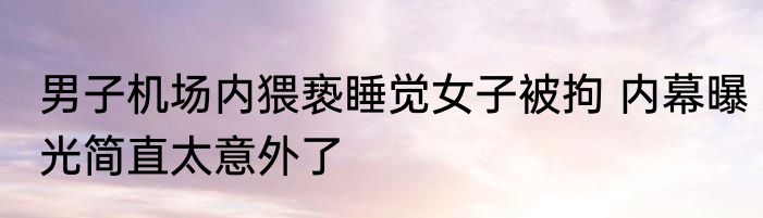 男子机场内猥亵睡觉女子被拘 内幕曝光简直太意外了