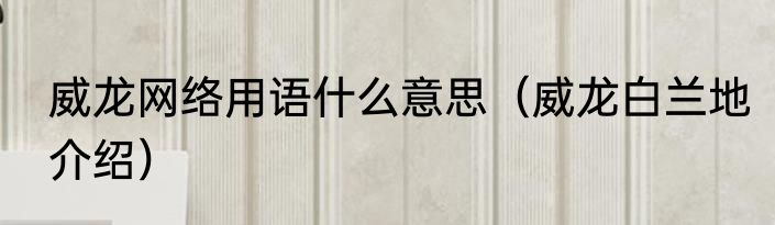 威龙网络用语什么意思（威龙白兰地介绍）
