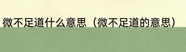 微不足道什么意思（微不足道的意思）