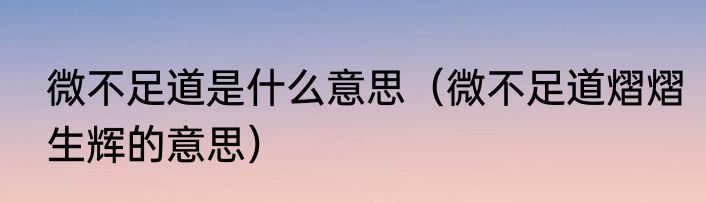 微不足道是什么意思（微不足道熠熠生辉的意思）