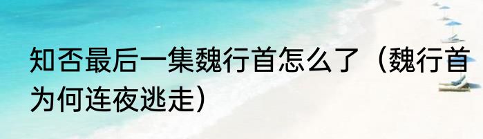 知否最后一集魏行首怎么了（魏行首为何连夜逃走）