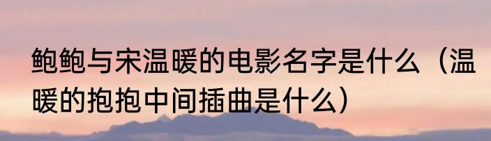 鲍鲍与宋温暖的电影名字是什么（温暖的抱抱中间插曲是什么）