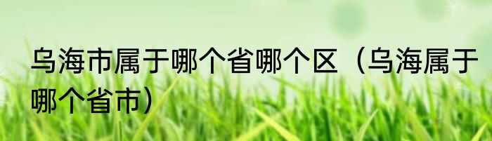 乌海市属于哪个省哪个区（乌海属于哪个省市）