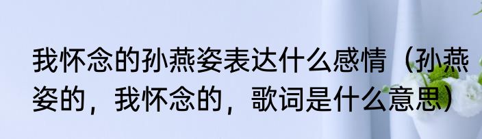 我怀念的孙燕姿表达什么感情（孙燕姿的，我怀念的，歌词是什么意思）