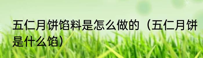 五仁月饼馅料是怎么做的（五仁月饼是什么馅）
