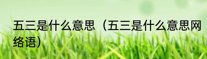 五三是什么意思（五三是什么意思网络语）