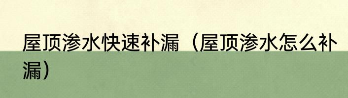 屋顶渗水快速补漏（屋顶渗水怎么补漏）