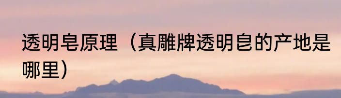 透明皂原理（真雕牌透明皀的产地是哪里）