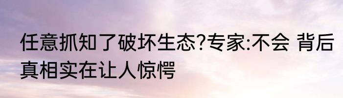 任意抓知了破坏生态?专家:不会 背后真相实在让人惊愕