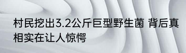 村民挖出3.2公斤巨型野生菌 背后真相实在让人惊愕