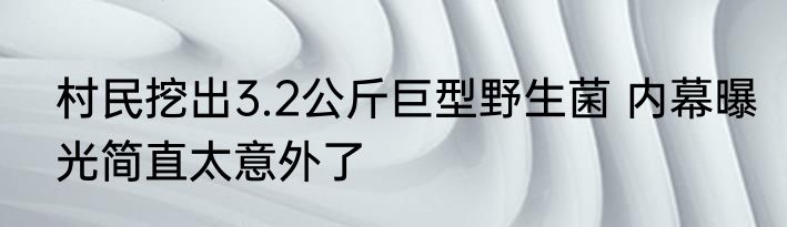 村民挖出3.2公斤巨型野生菌 内幕曝光简直太意外了