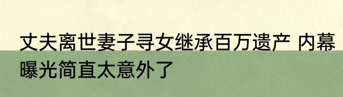 丈夫离世妻子寻女继承百万遗产 内幕曝光简直太意外了