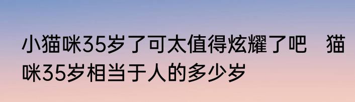 小猫咪35岁了可太值得炫耀了吧   猫咪35岁相当于人的多少岁