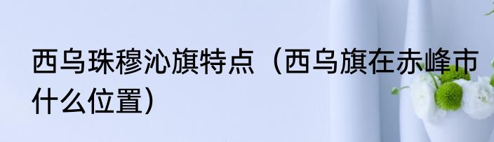 西乌珠穆沁旗特点（西乌旗在赤峰市什么位置）