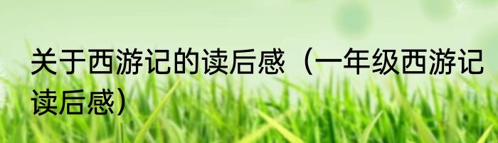 关于西游记的读后感（一年级西游记读后感）