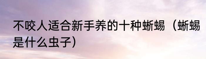 不咬人适合新手养的十种蜥蜴（蜥蜴是什么虫子）