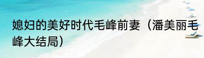 媳妇的美好时代毛峰前妻（潘美丽毛峰大结局）