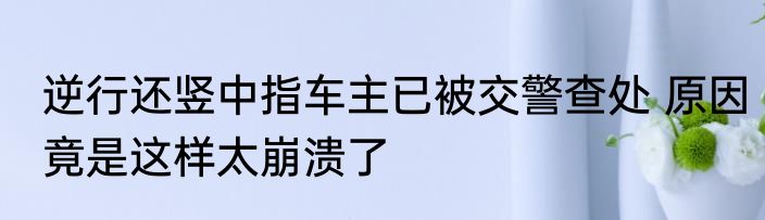 逆行还竖中指车主已被交警查处 原因竟是这样太崩溃了